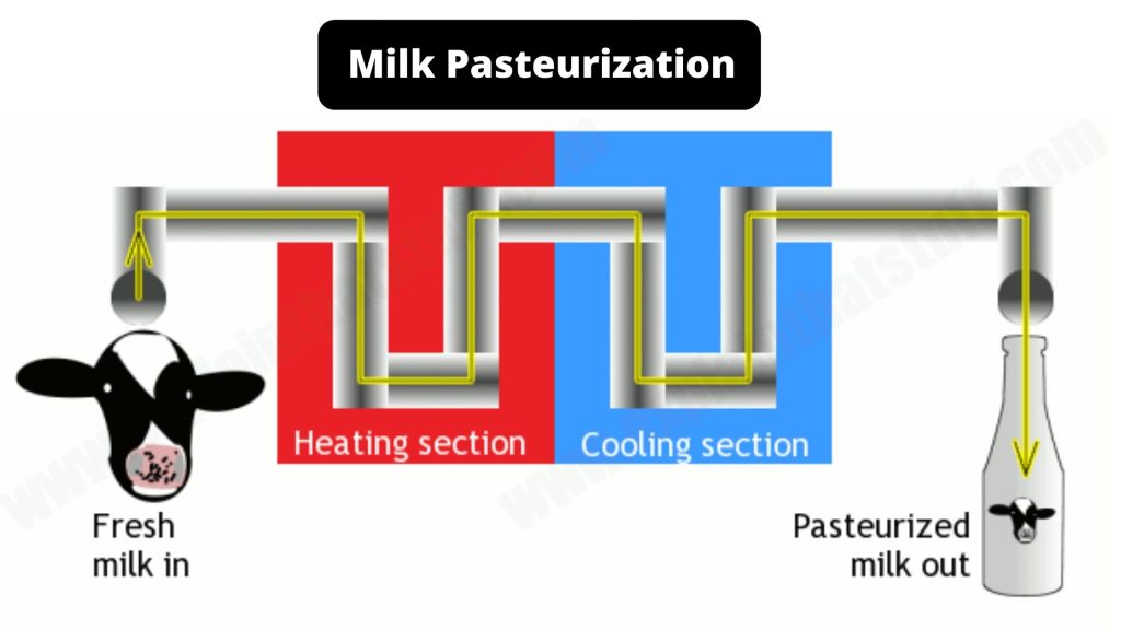 Milk-Pasteurization-LGN