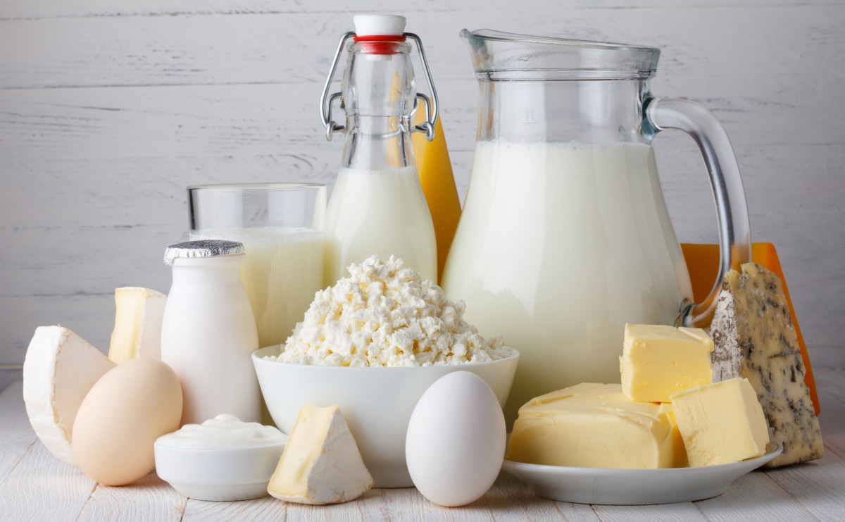 Yogurt & Cheese Production-LGN