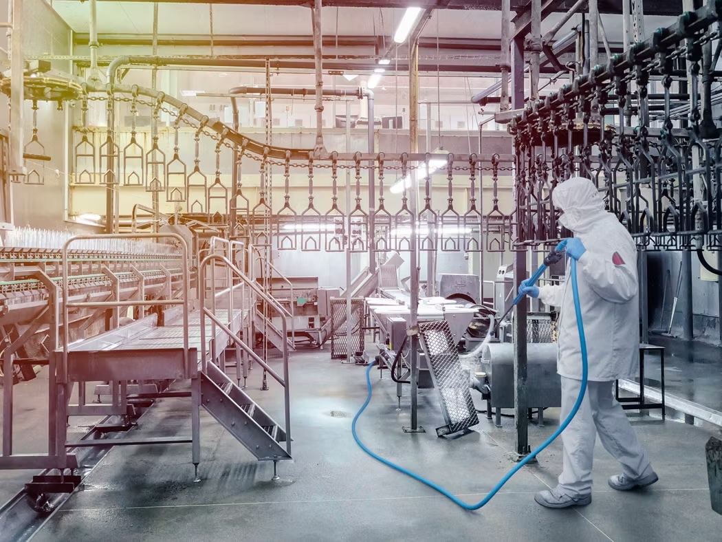 industries-food-and-beverage-meat-poultry-LGN Group