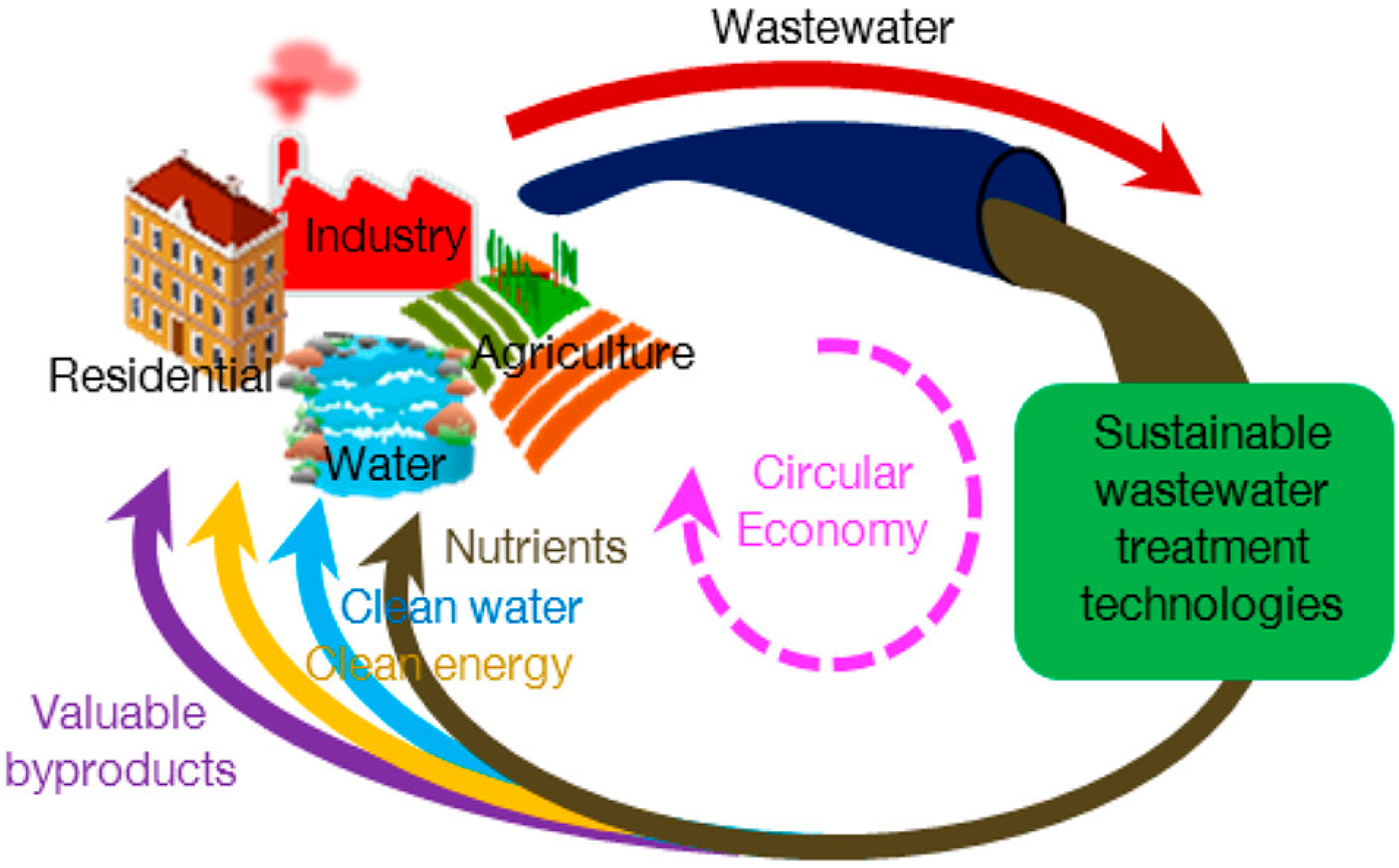 Wastewater Management in the Dairy & Beverage Industry: Challenges & Sustainable Solutions